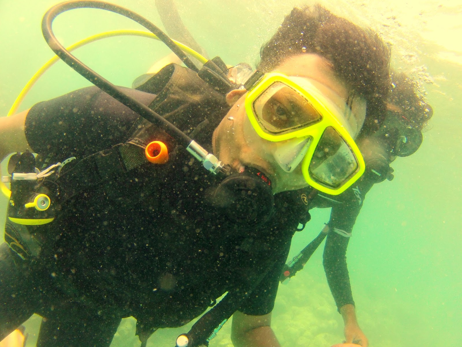 Read more about the article Scuba Diving-An Experience of a Lifetime
