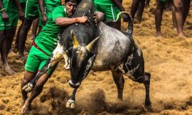 Why are so many Tamilians supporting #Jallikattu ? Here is a Well Written Article From Quora