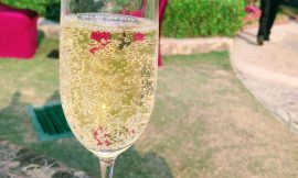 Review of Christmas Brunch at Radisson Blu MBD Hotel Noida