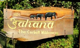 Aahana – The  Corbett Wilderness is the perfect getaway to wellness and rejuvenation