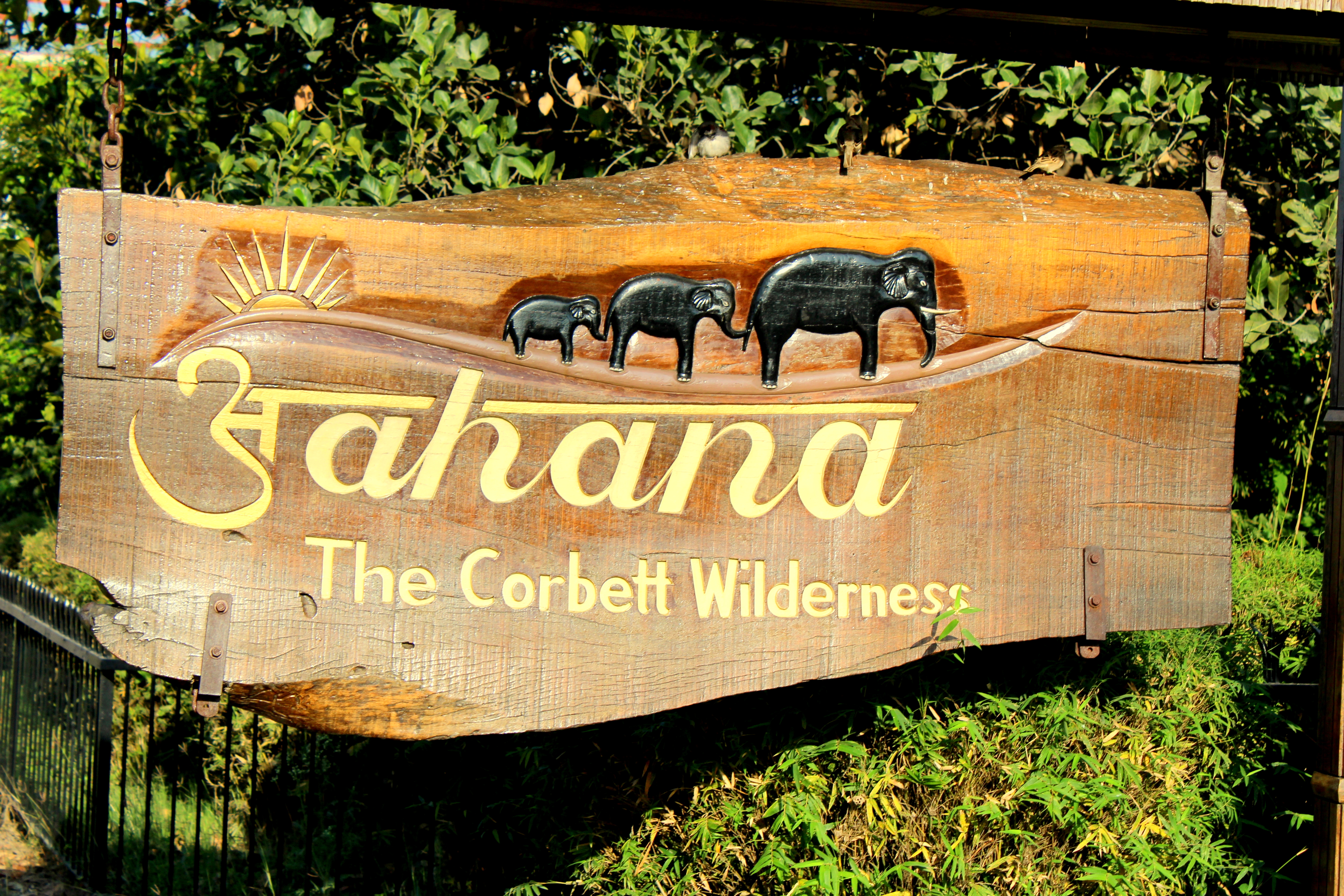 You are currently viewing Aahana – The  Corbett Wilderness is the perfect getaway to wellness and rejuvenation
