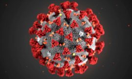 Top 5 Bizarre Coronavirus Conspiracy Theories