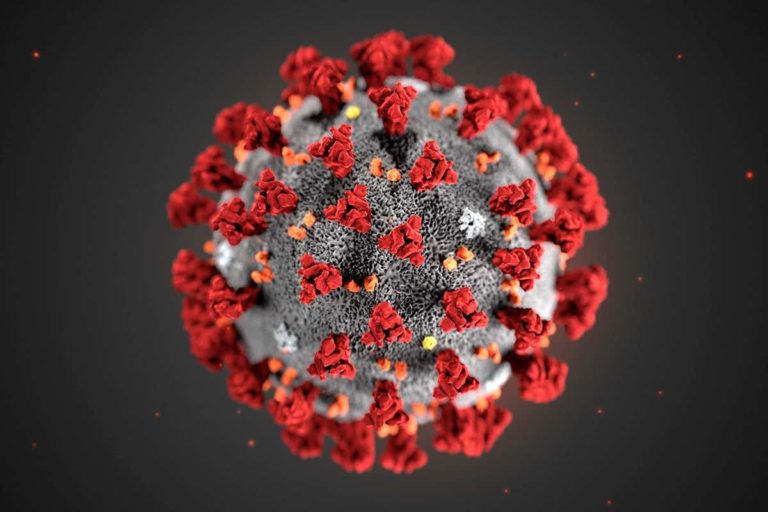 Read more about the article Top 5 Bizarre Coronavirus Conspiracy Theories